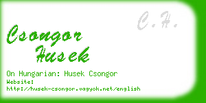 csongor husek business card